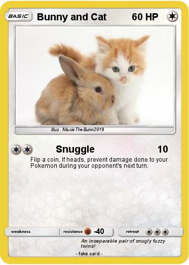 Pokemon Bunny and Cat