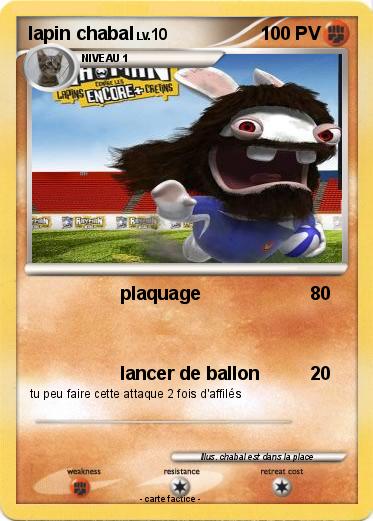 Pokemon lapin chabal
