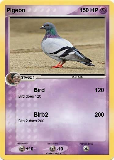 Pokemon Pigeon