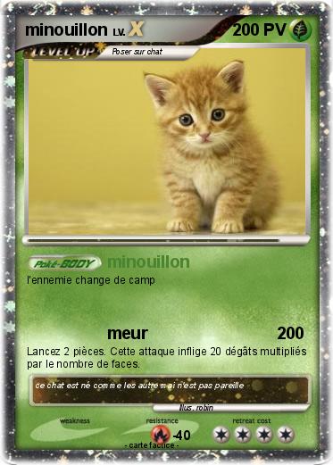 Pokemon minouillon