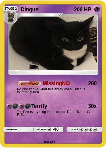 Pokemon Dingus
