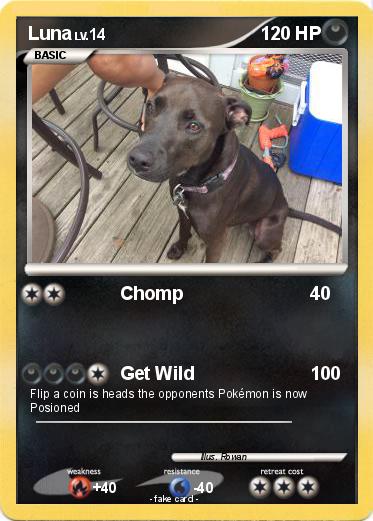 Pokemon Luna