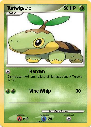 Pokemon Turtwig