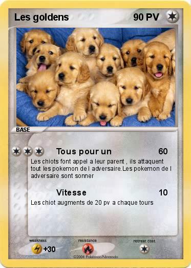 Pokemon Les goldens