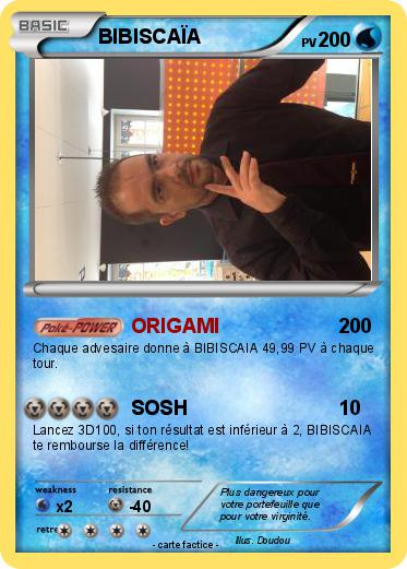 Pokemon BIBISCAÏA
