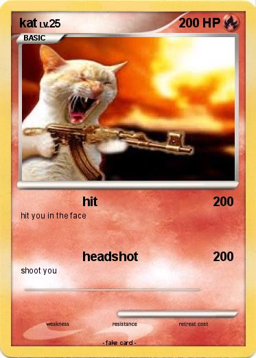 Pokemon kat