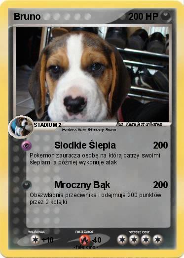 Pokemon Bruno