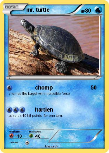 Pokemon mr. turtle