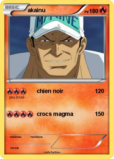 Pokemon akainu