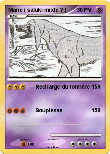 Pokemon Marie ( saluki mixte ? )