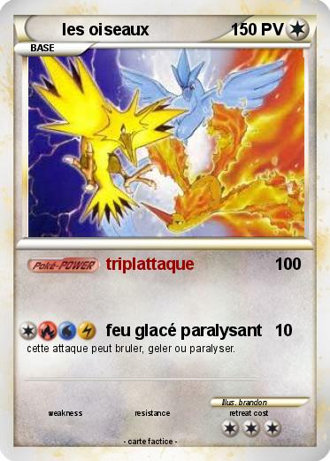 Pokemon les oiseaux