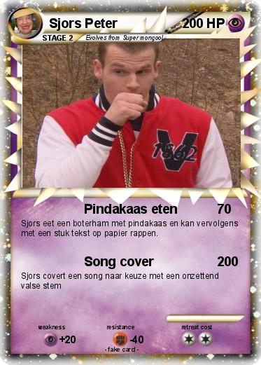 Pokemon Sjors Peter