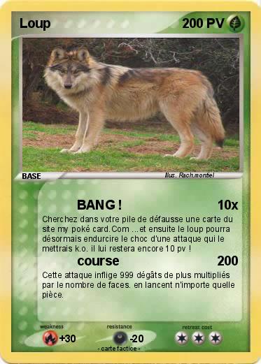 Pokemon Loup