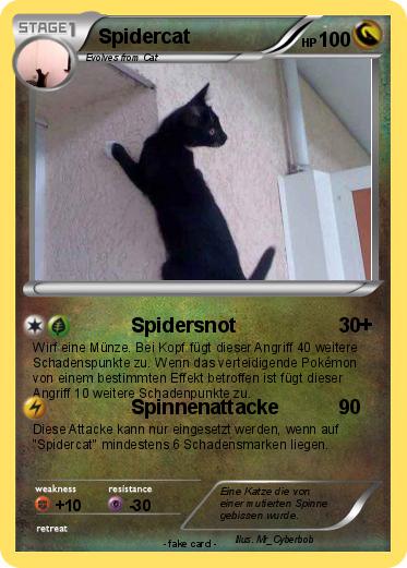 Pokemon Spidercat