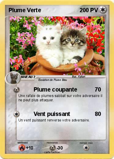 Pokemon Plume Verte