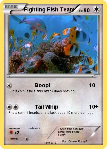Pokemon Fighting Fish Team