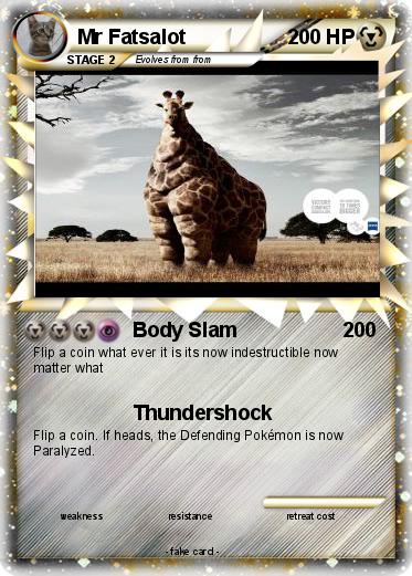 Pokemon Mr Fatsalot