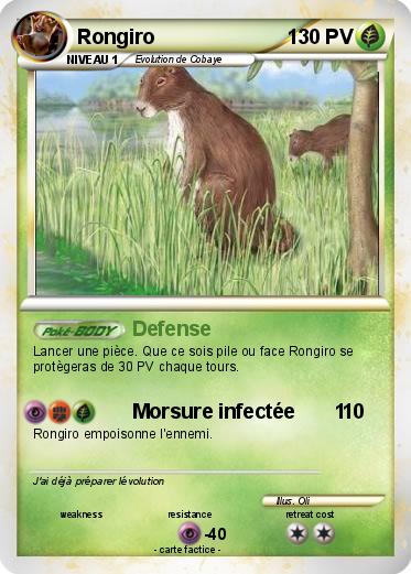 Pokemon Rongiro