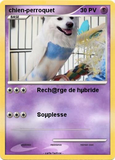 Pokemon chien-perroquet