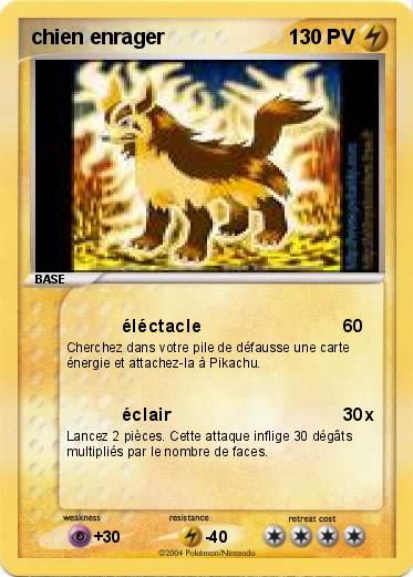Pokemon chien enrager