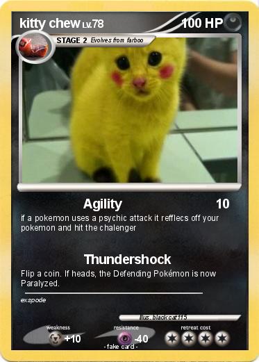 Pokemon kitty chew