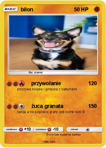 Pokemon bilon