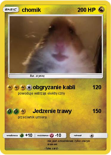 Pokemon chomik