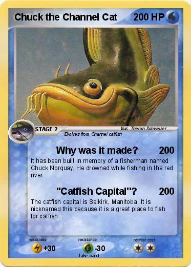 Pokemon Chuck the Channel Cat