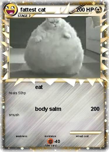Pokemon fattest cat