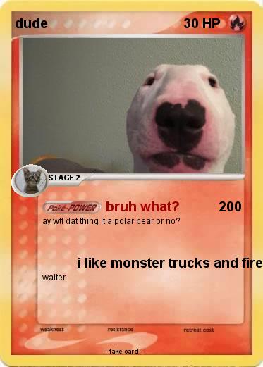 Pokemon dude
