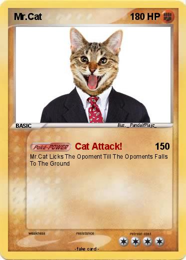 Pokemon Mr.Cat