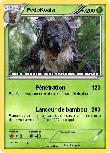 Pokemon PédoKoala