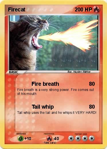 Pokemon Firecat