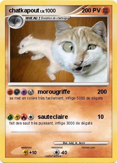Pokemon chatkapout