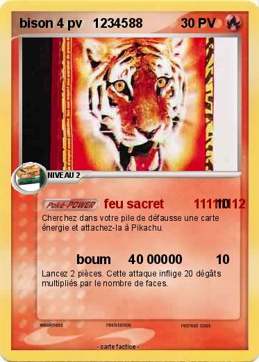 Pokemon bison 4 pv   1234588