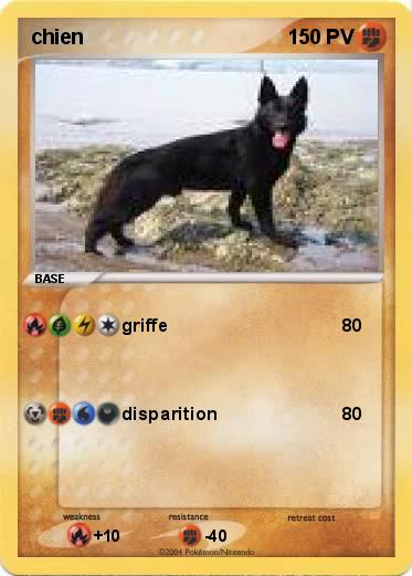 Pokemon chien