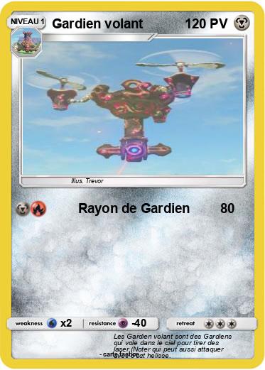 Pokemon Gardien volant