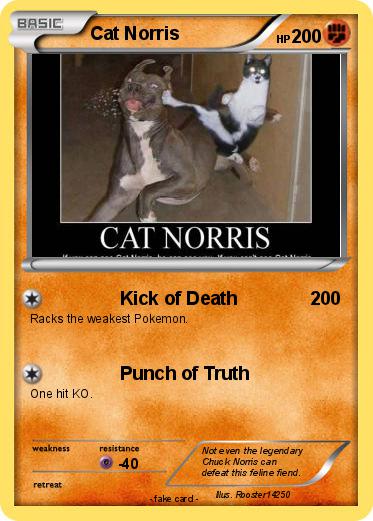 Pokemon Cat Norris