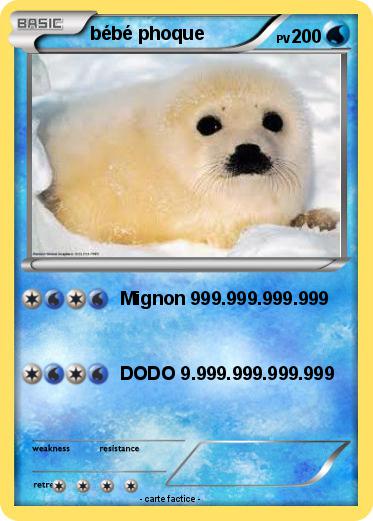 Pokemon bébé phoque