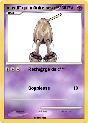 Pokemon mastiff qui m0ntre ses c***