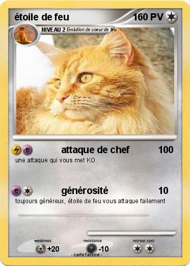 Pokemon étoile de feu