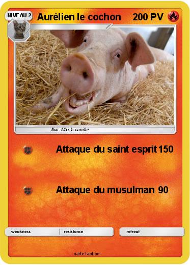 Pokemon Aurélien le cochon
