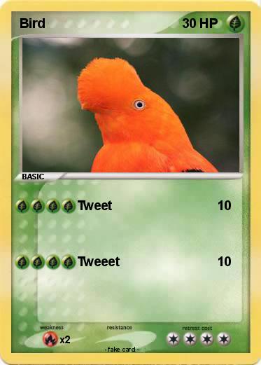 Pokemon Bird