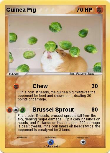 Pokemon Guinea Pig