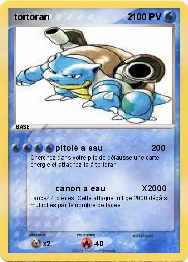 Pokemon tortoran                              2 