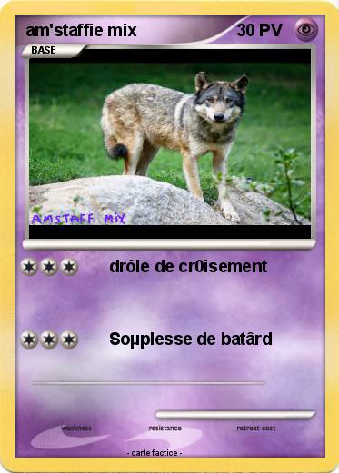 Pokemon am'staffie mix