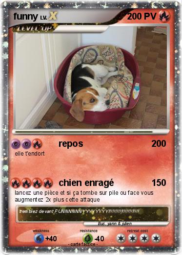 Pokemon funny