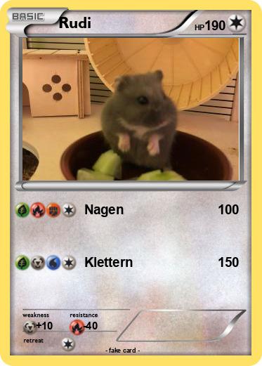 Pokemon Rudi