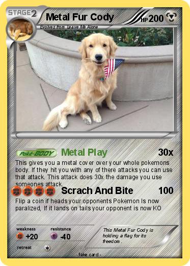 Pokemon Metal Fur Cody