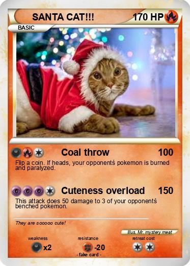 Pokemon SANTA CAT!!!